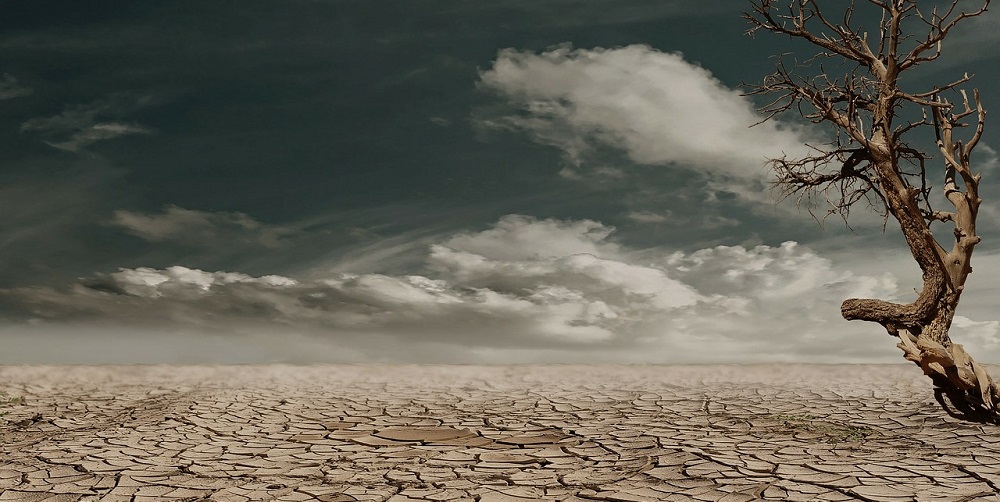 Sertão castigado pela seca.