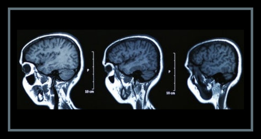 Raiva 3 - Conto | Raiva - Capítulo 3